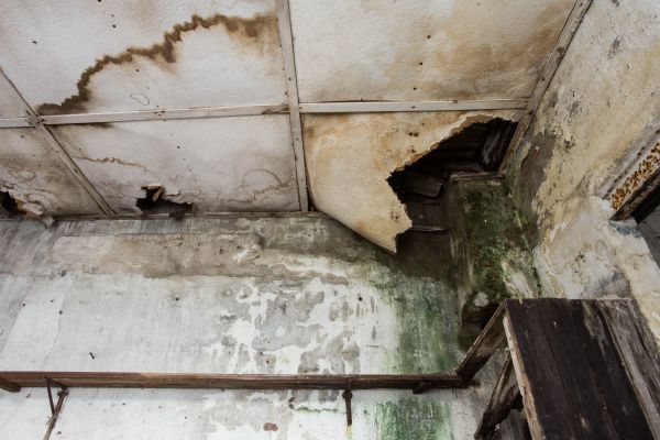 Cost of Water Damage Service in Marysville