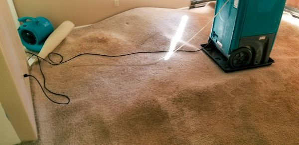 Flood Damage Cleanup in Marysville