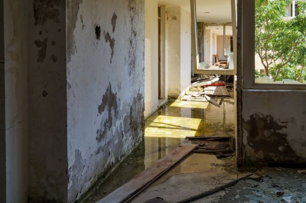 Cost of Water Removal Service in Marysville
